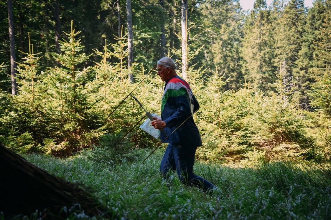 Rogla 4 16